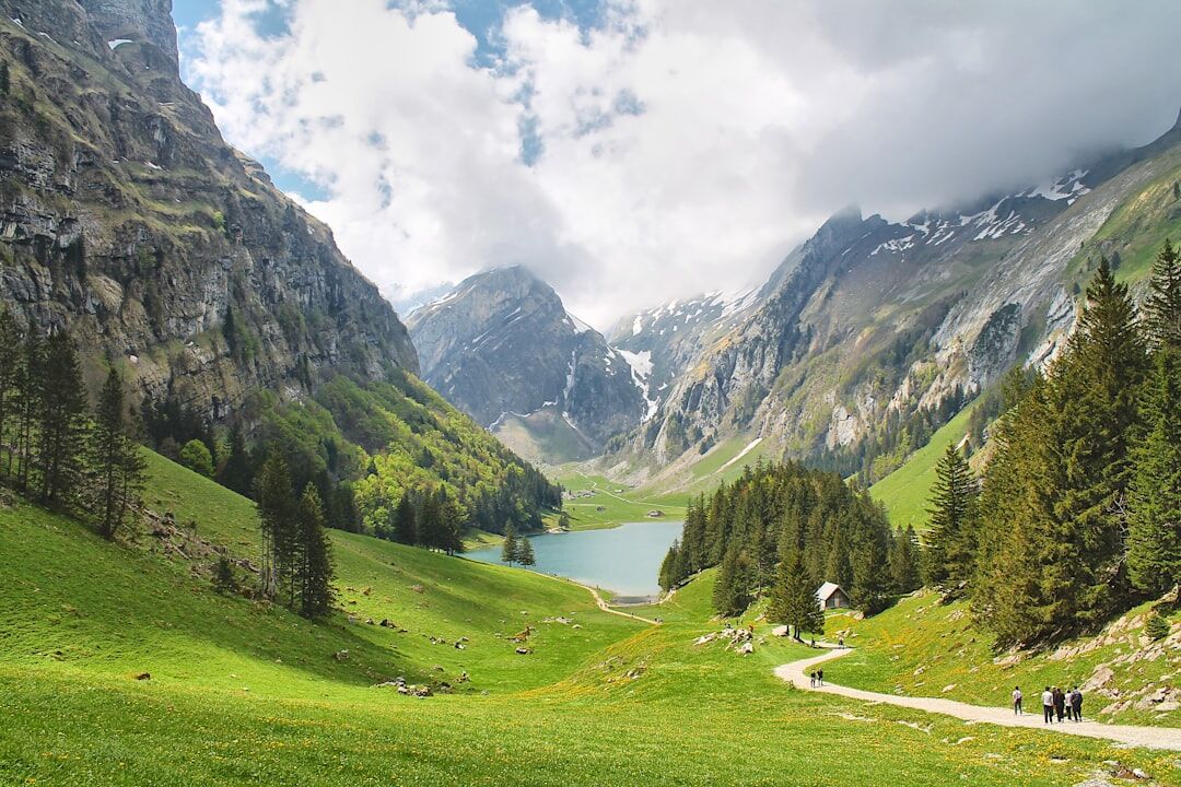 swiss alps with lake